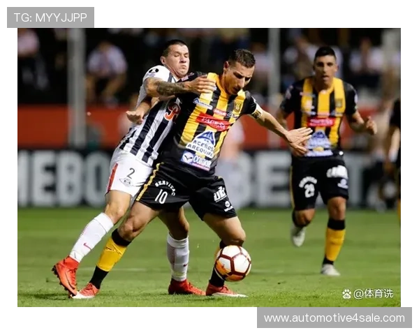 利用ld体育平台进行体育赛事直播与互动的最佳实践，提升您的观赛体验与参与感